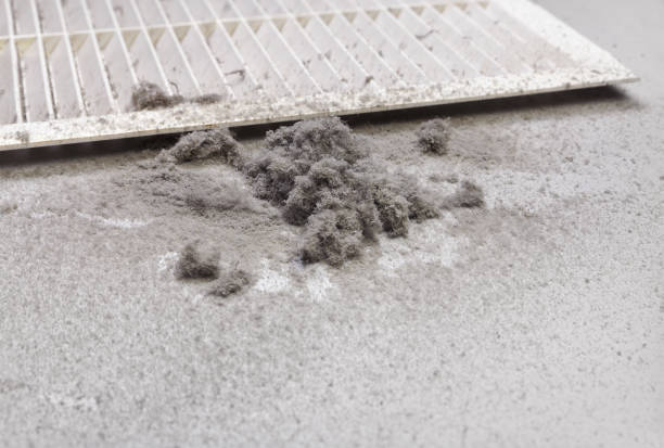 Best Affordable Air Duct Cleaning  in Peralta, NM